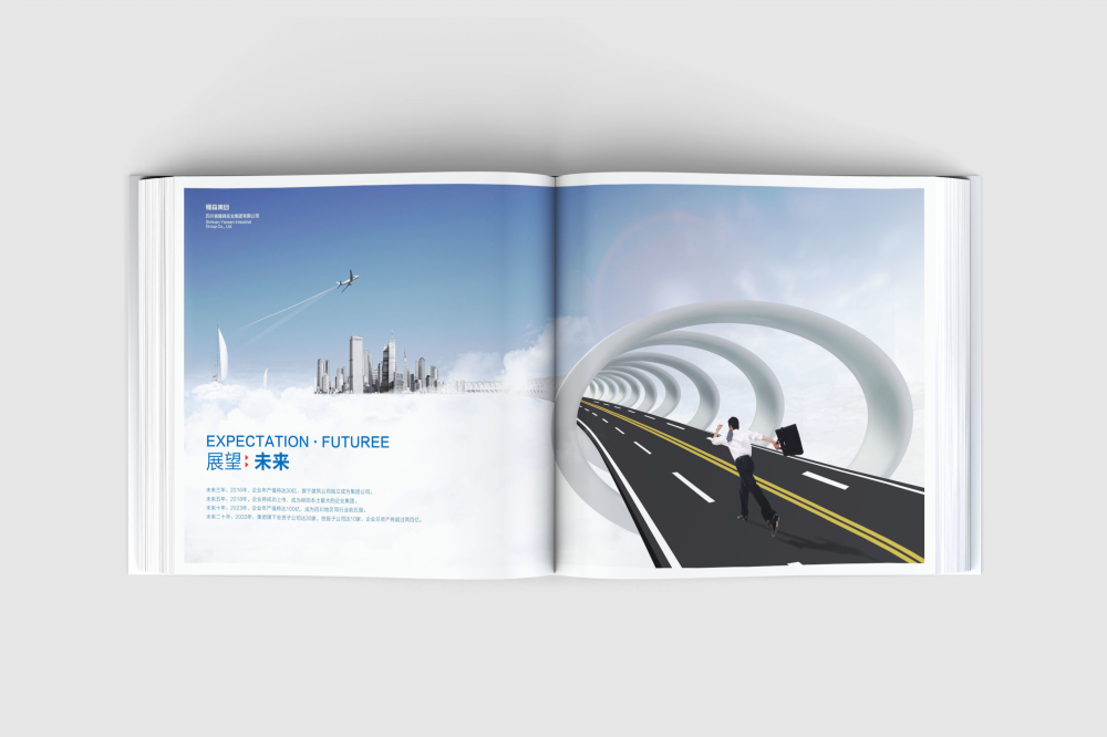 南沙区画册设计